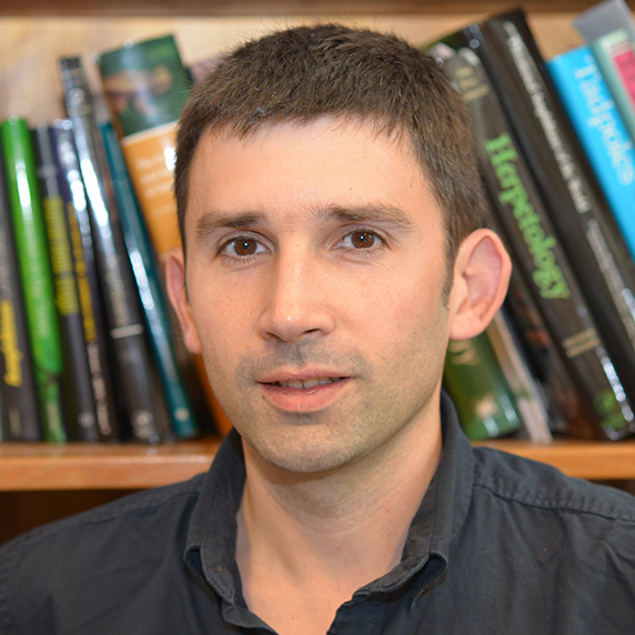 Mathieu Denoël Photo