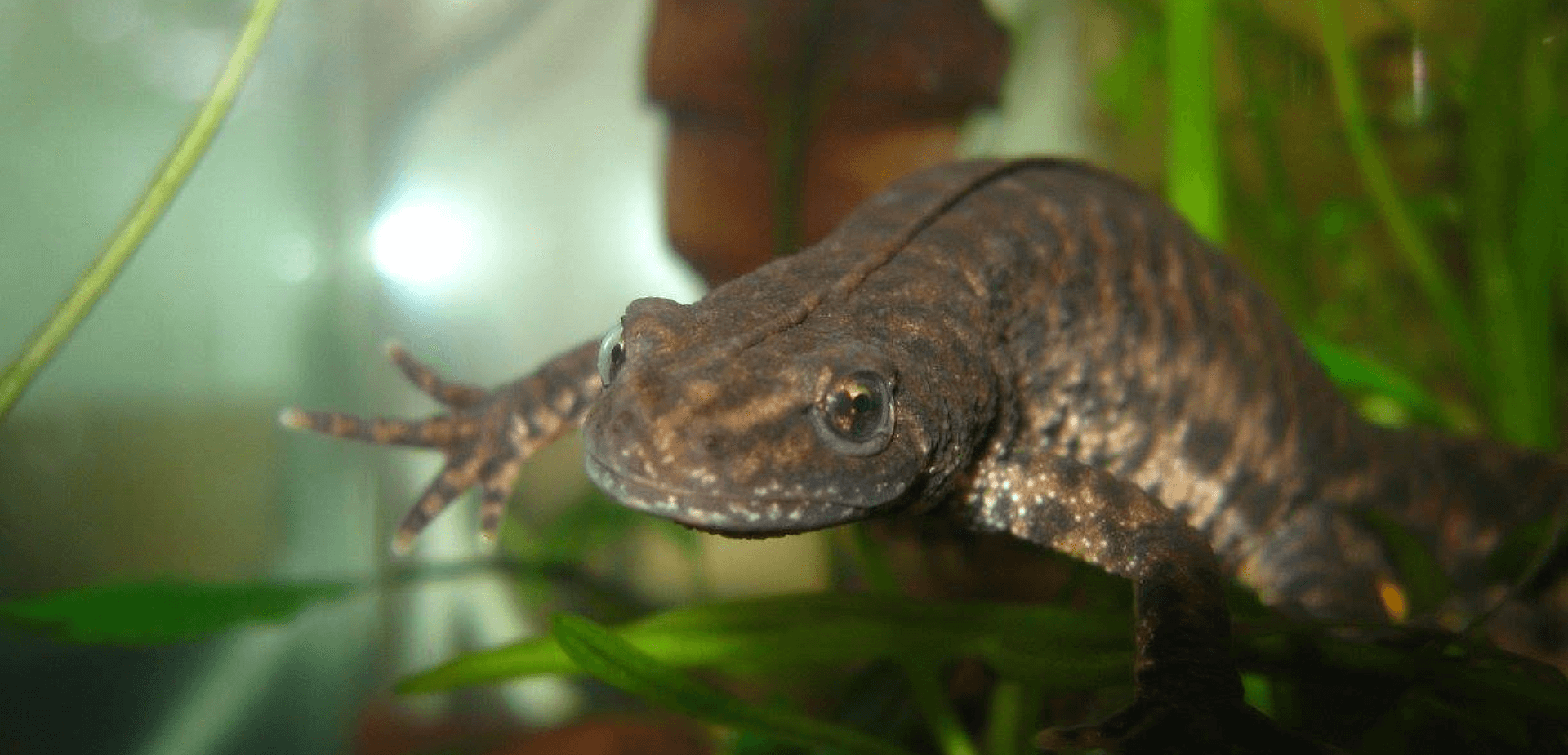 Photo by Simeon Lukanov